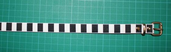 Đầy màu sắc in ấn PU đai vải sọc cho phụ nữ chiều rộng 1,6 cm cho quần thời trang